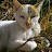 @nas_20.02-7 Avatar