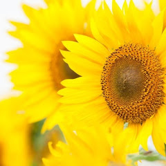 私がスカッとしたちゃんねる