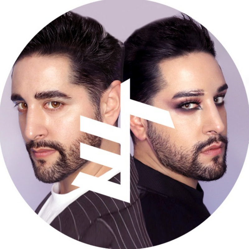 The Welsh Twins Logo