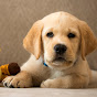 Miniature