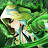 @JerzeyWraith Avatar