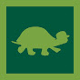 Turtle Skateboarding logo