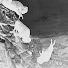 k5K_VcEqGPc-channel-avatar-Not Disco Dog