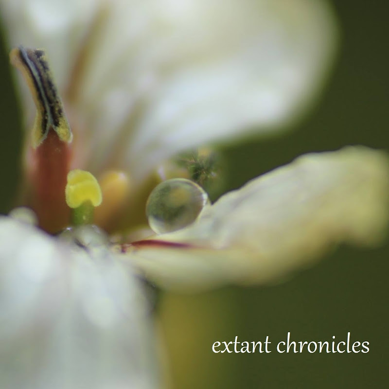 Extant Chronicles