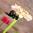 @tomgleason5546's avatar