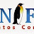 @donfriocongelados6134's avatar