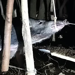 夜猟師のトメ刺しと解体アイコン画像