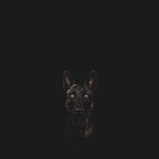 Dogtube