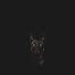 BtmmJdVSdgo-channel-avatar-Dogtube