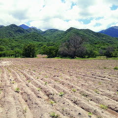 México Proyecta