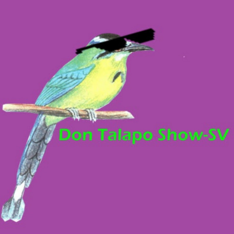Channel Avatar