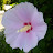 @LEEJS-z5c