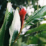 nWOLCJjDc1s-channel-avatar-Tahnei Roy