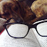 6ZXx6gMl968-channel-avatar-Les lectures de Pippin