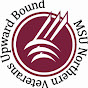 Veterans Upward Bound VUB logo