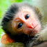 5E_bt9byPIU-channel-avatar-Monkey Empire