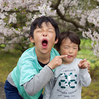 ぱくぱくチャンネル - かいとうま profile image