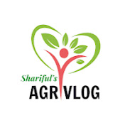 Sharifuls AGRI VLOG