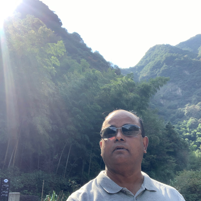 Palani Velu