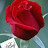 avatar of @aftab4133