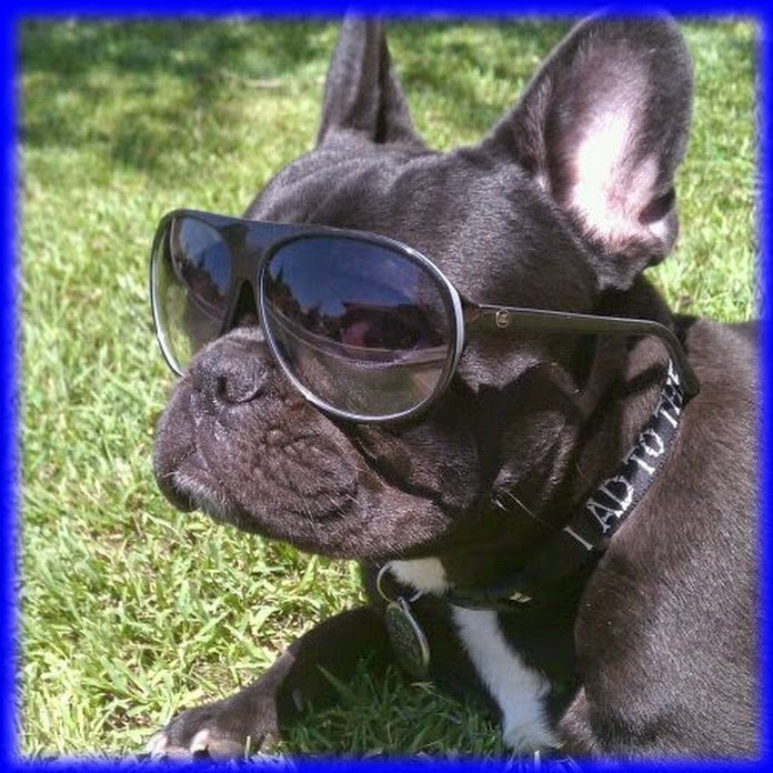 Funny Everyday Net Worth & Earnings (2026)