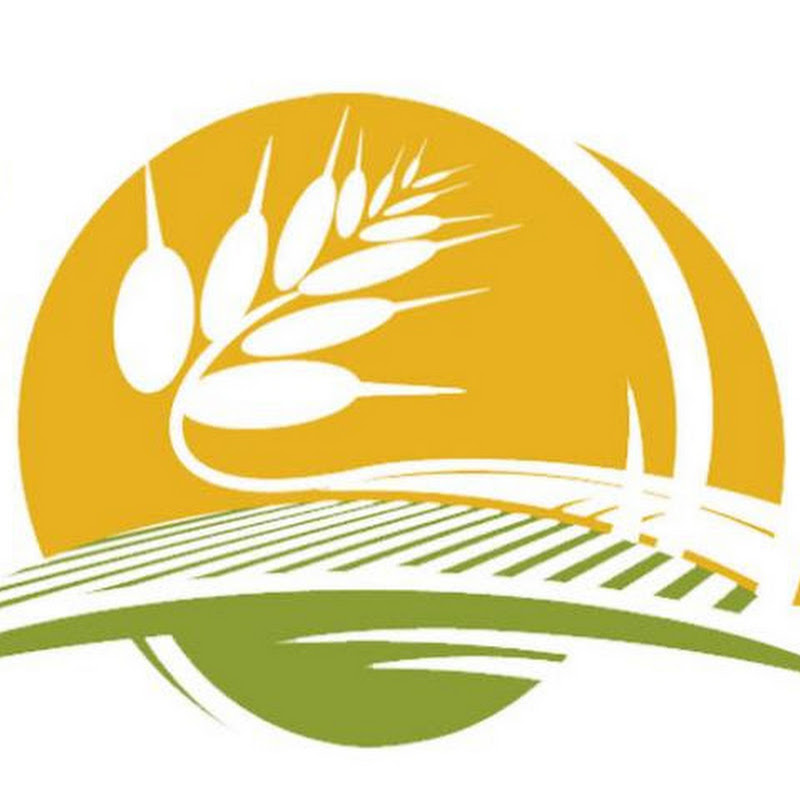 Smart No-till Logo
