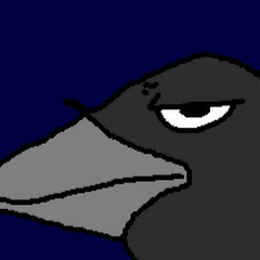 HoopsRaven46