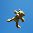 7oKLLJDaZhQ-channel-avatar-FlyingBearFilmMorgue