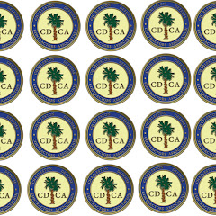 Charleston Defense Contractors Association