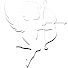 lTdGlUmnEac-channel-avatar-BEVIDEO