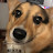 @why-five's avatar