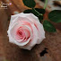 SEPRDeHSWpI-channel-avatar-Oải Hương Handmade