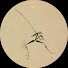 BOP0z1Ua8Og-channel-avatar-katori-ressources