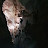 @user-id6ut4fr3c