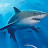 @SilentShark Avatar