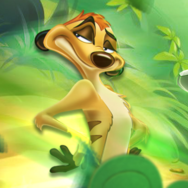 TIMON