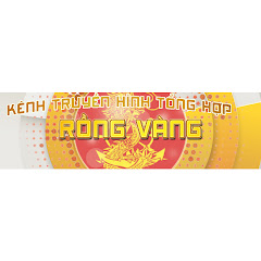 RỒNG VÀNG tổng hợp