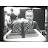 @johnhuron5989's avatar