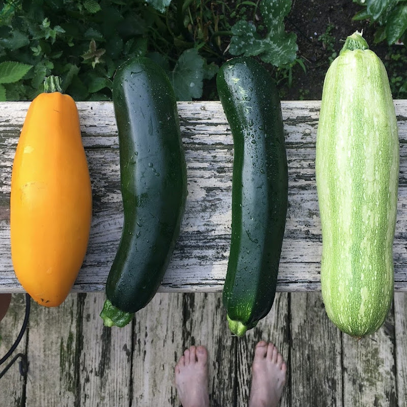 La Huerta de Mi Casa