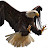 @mohamedhosny8087