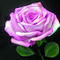 uAFuPkEWh4k-channel-avatar-jo artes rosas