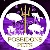 Poseidons Pets
