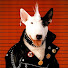2ChCp43IHaY-channel-avatar-Anti Bonez