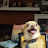@matthewokeefe2286
