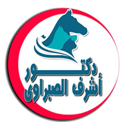 دكتور أشرف الصبراوي - Dr. Ashraf Alsabrawy avatar