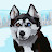 @jays8287's avatar