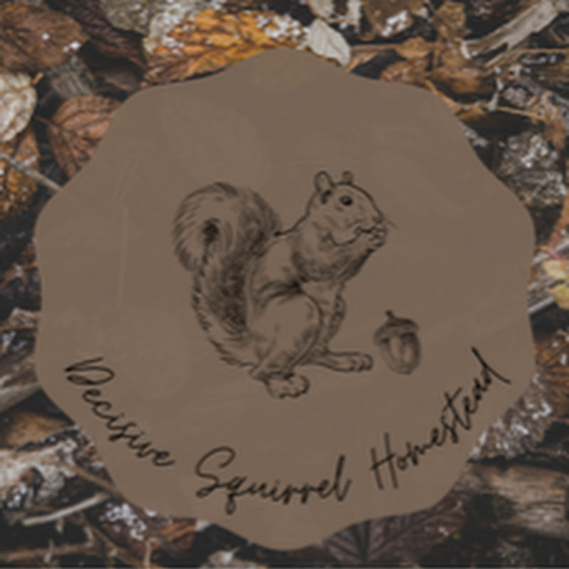 Decisive Squirrel Homestead