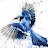 @bluestofjays3763