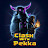 @clashwithpekka2217