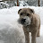 @maxquinn5311 Avatar